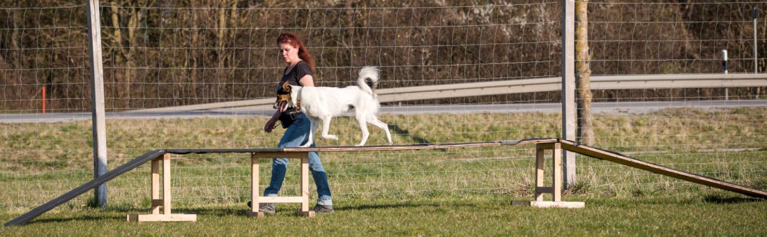 Hundesport Mix -Samstag