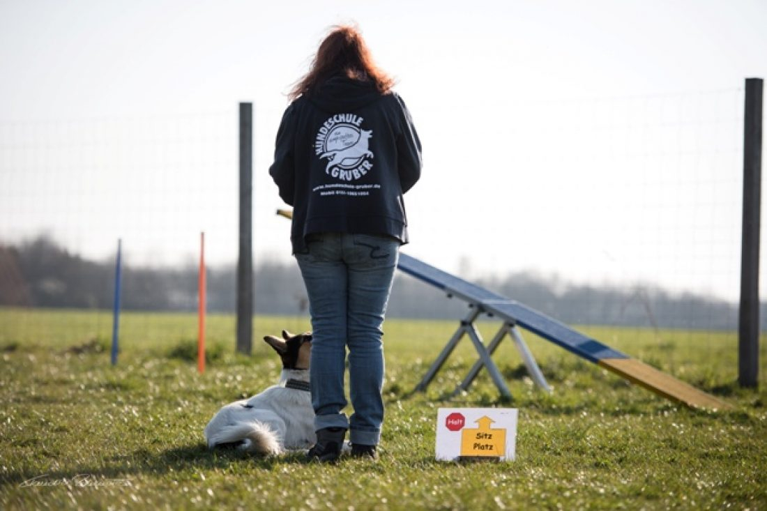 Rally Obedience Einsteiger 